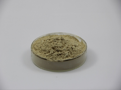  Fucoidan Powder