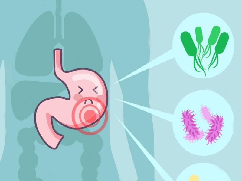 Fucoidan - Eliminate Helicobacter Pylori  Maintain Stomach Health