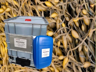 Seaweed Liquid Fertilizer