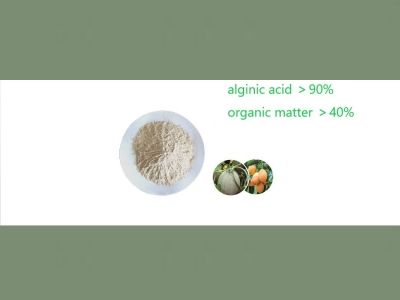 Seaweed oligosaccharides