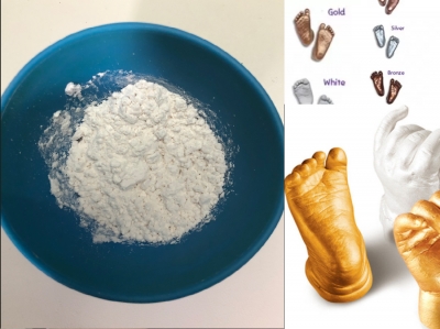 Alginate life casting powder