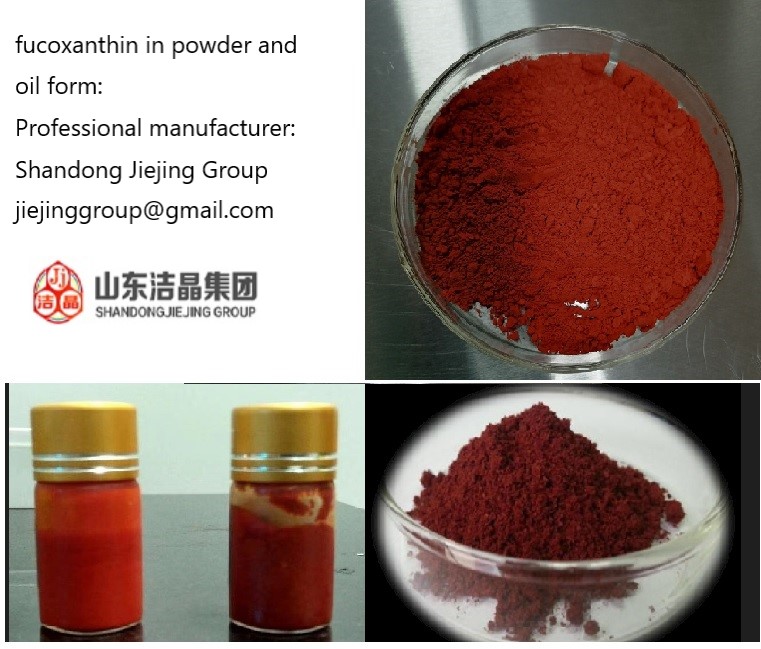 Jiejing brand fucoxanthin