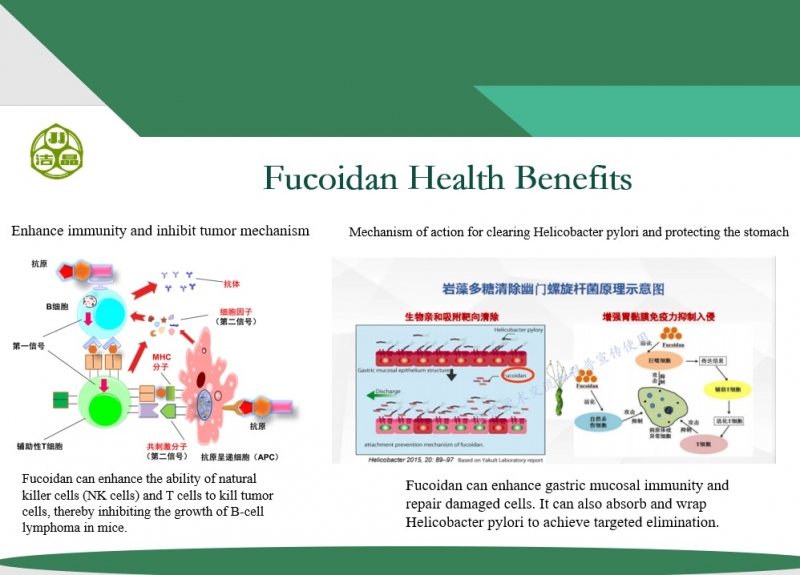Unlock the Power of Fucoidan