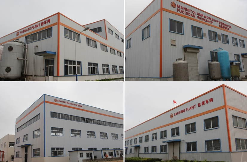 sodium alginate factory.png