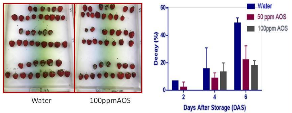 AOS on strawberry.png