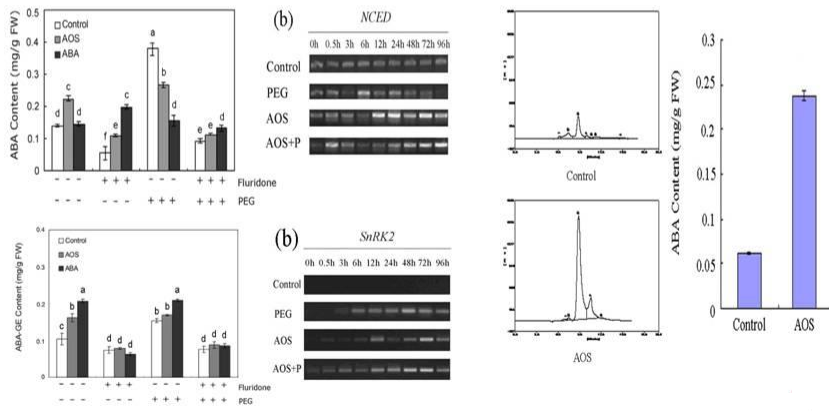 AOS in draught resistance.png