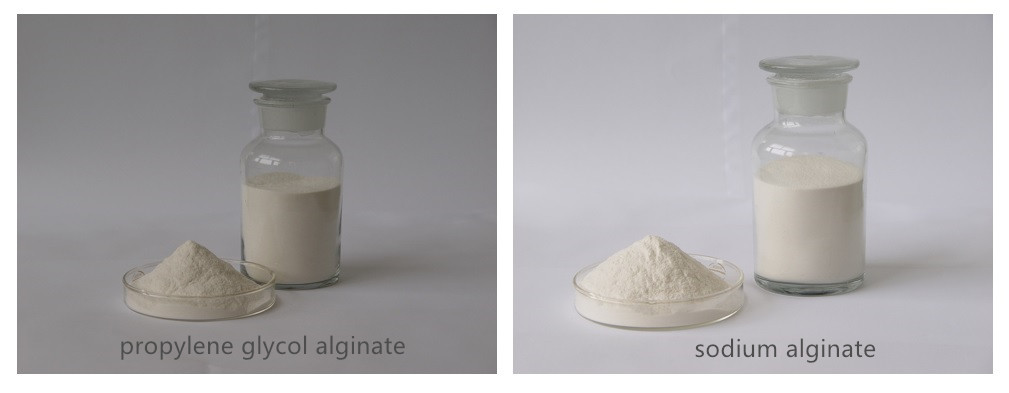 ALGINATE_副本.jpg
